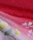 成人式振袖[シンプル]赤に紫ぼかし・黄色水色の桜[身長170cmまで]No.611